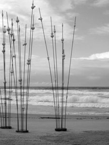 sculpture by the sea